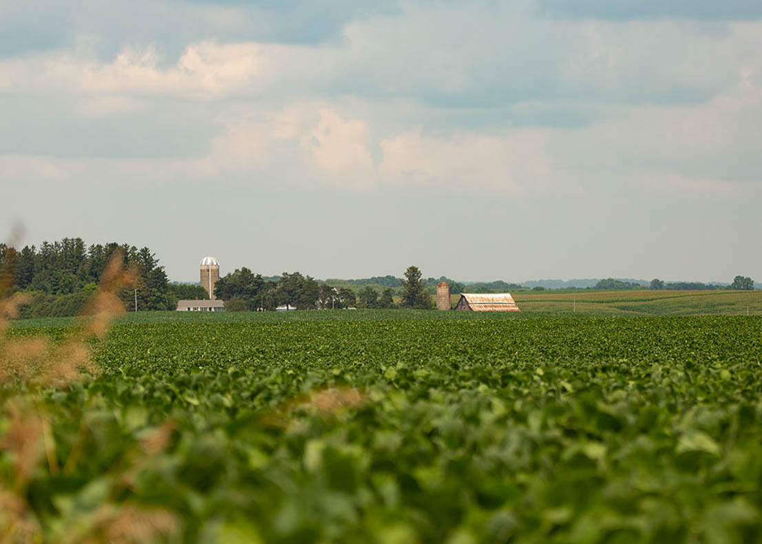 Iowa Soybean Association Iowa Farmland Values Skyrocket